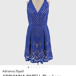 Adrianna Papell Blue Lace Midi Dress